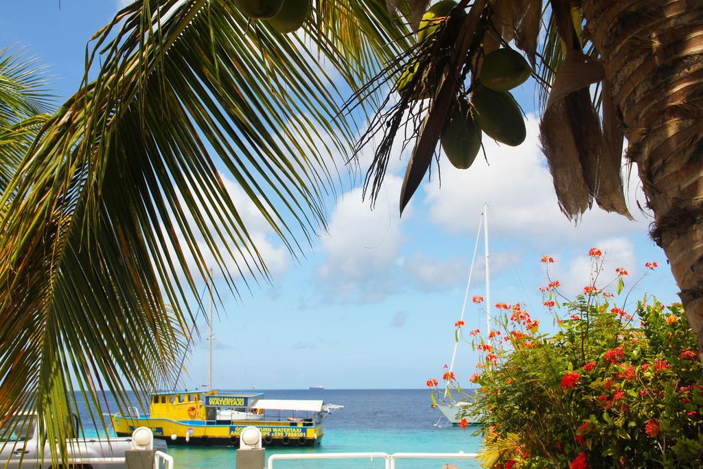 Bonaire Seaside Apartments Exteriér fotografie