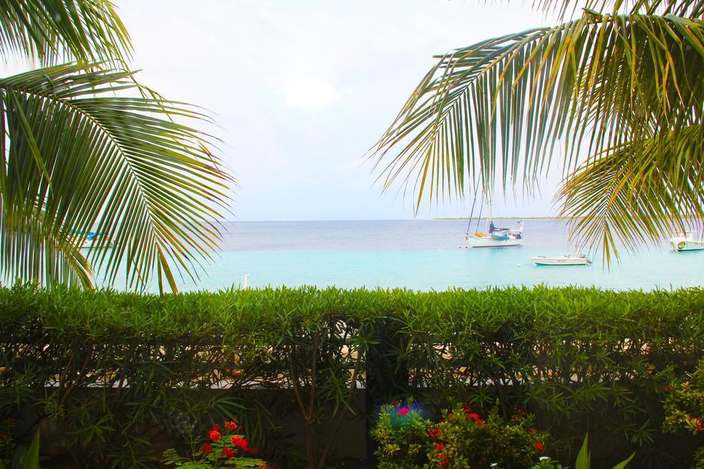 Bonaire Seaside Apartments Exteriér fotografie